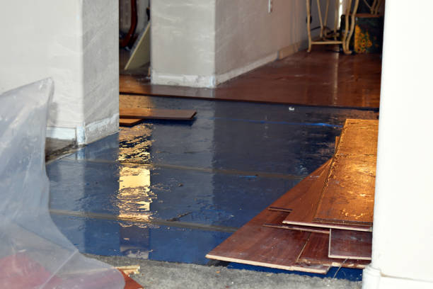 Professional Sewage Cleanup technician working in Hallowell, ME